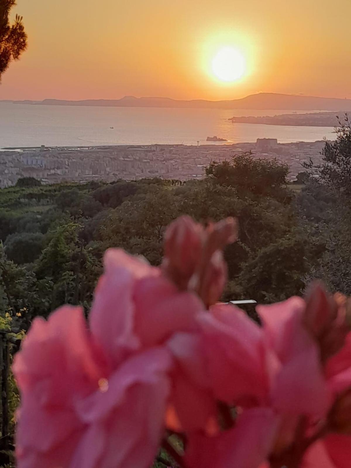 مبيت وإفطار Casola di Napoli La Vigna Del Vento المظهر الخارجي الصورة