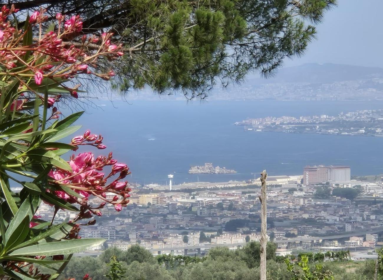 مبيت وإفطار Casola di Napoli La Vigna Del Vento المظهر الخارجي الصورة
